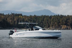 cabin-cruiser fueraborda 1