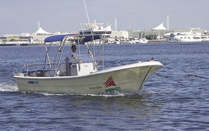 barco open fueraborda