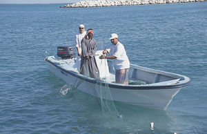 bote fueraborda