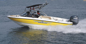 runabout fueraborda / bow-rider / de wakeboard / con T-top