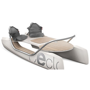barco para centro de ocio / catamarán / eléctrico