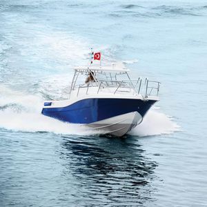 barco de motor de pesca-paseo intraborda / 5 personas máx. / con cabina