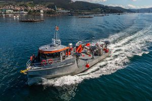 buque de pesca profesional