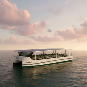 barco profesional electrosolar