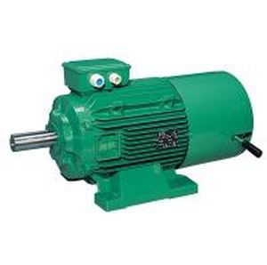 motor intraborda 1