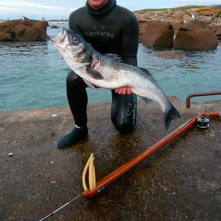 Fusil de pesca submarina de teca - X - Teak Sea