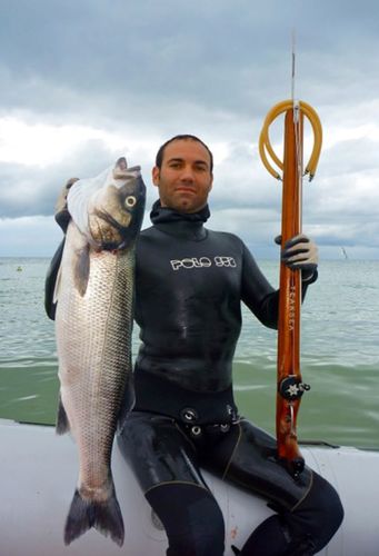 Fusil de pesca submarina de teca - BEAM - Teak Sea