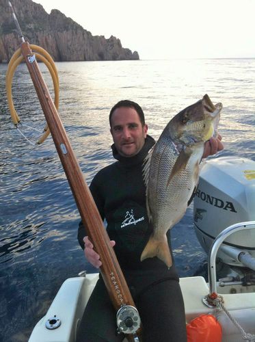 Fusil de pesca submarina de teca - IKAN - Teak Sea