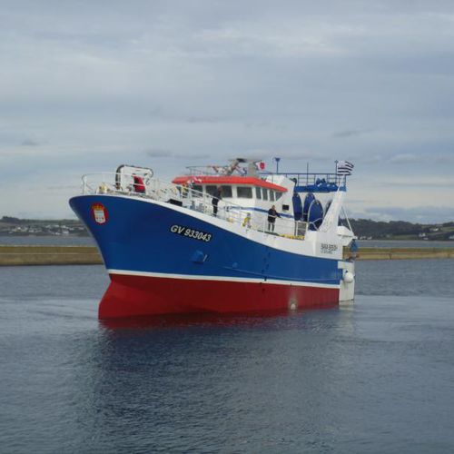 Barco profesional arrastrero - BARA BREIZH - Chantier Naval Gléhen