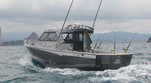 Barco profesional barco de pesca profesional - White Pointer Boats Ltd - intraborda