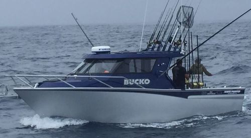 Barco profesional barco de pesca profesional - 870  - White Pointer Boats Ltd - intraborda