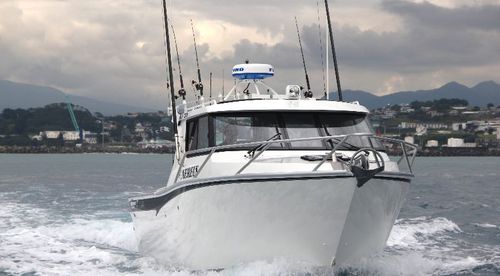 Barco profesional barco de pesca profesional - 970  - White Pointer Boats Ltd - intraborda