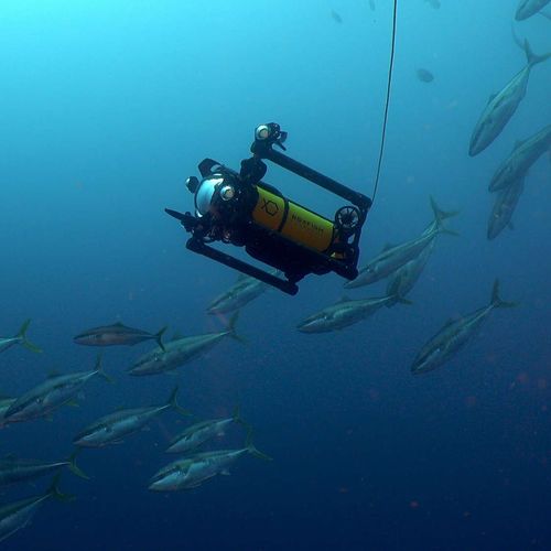 drone marino subacuático para fotografía - Boxfish Research