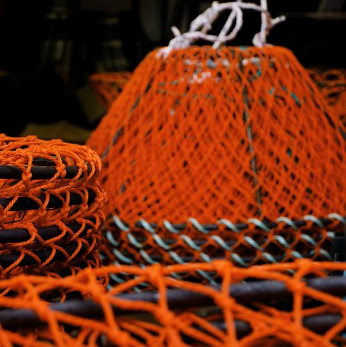 Taquilla para cangrejos - Vónin - para bocina
