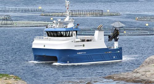 Barco profesional barco para acuicultura - NabCat 1499/1200 MD - Moen Marin AS - catamarán / intraborda