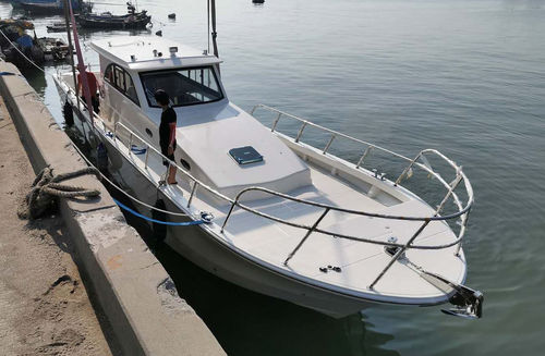 Barco cabinado fueraborda - PRO 46 - PANGA FERRET - bimotor / con hard-top / de pesca deportiva