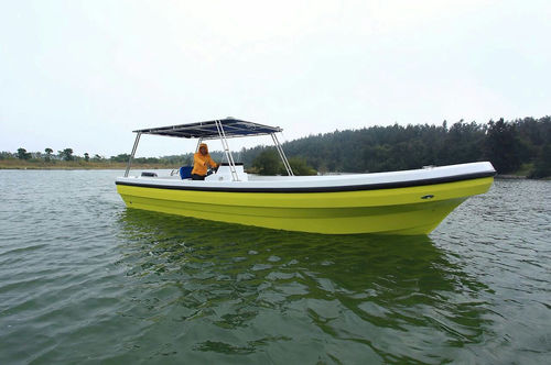 Barco profesional barco de pasajeros - PANGA FERRET - embarcación de apoyo al buceo / barco de pesca profesional / fueraborda