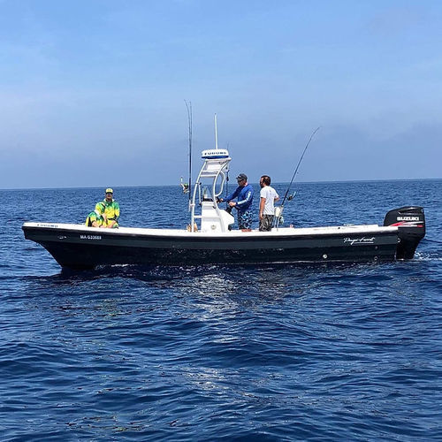 Barco profesional barco de pasajeros - PANGA FERRET - embarcación de apoyo al buceo / barco de pesca profesional / fueraborda
