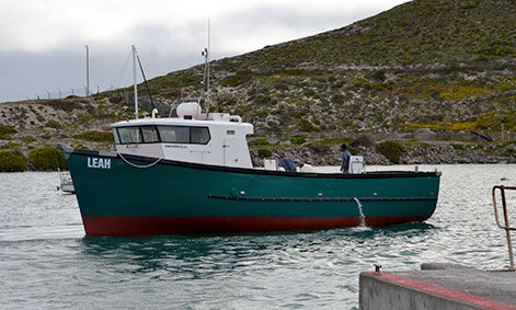 Barco profesional barco de vigilancia - LEAH - Sachal Shipyard - barco de trabajo / embarcación de servicio offshore / barco anticontaminación