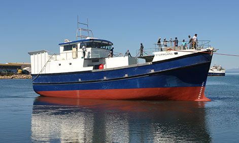 Barco profesional arrastrero - STORMGANS - Sachal Shipyard