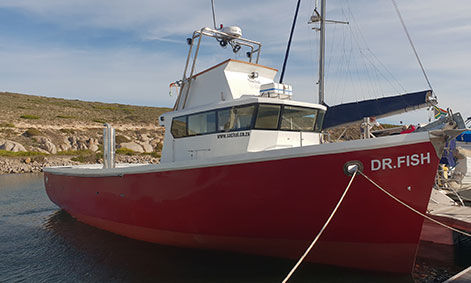 Trawler con caseta de timón - DR FISH - Sachal Shipyard