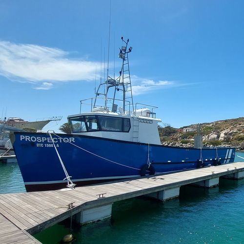 Barco profesional arrastrero - Tuna Pole - Sachal Shipyard - atunero cerquero / de PRFV