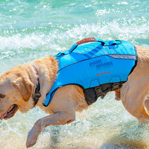 Chaleco de ayuda a la flotabilidad para deportes náuticos - PAWSOME - Aquatone - para animal doméstico / de espuma / azul