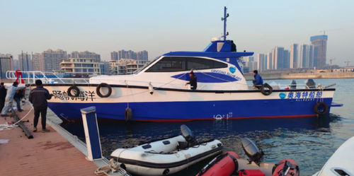 Yate a motor de pesca - PELAGIC 1700 - Qingdao Allheart Marine Co., Ltd. - con caseta de timón