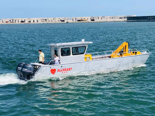 Barco profesional barco de desembarco - 1000 - Qingdao Allheart Marine Co., Ltd. - fueraborda / de aluminio