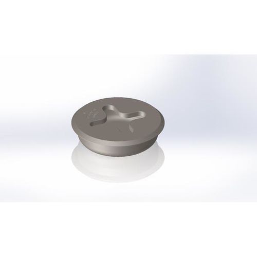 Punto de anclaje para amarre de contenedores - LP-81-B(258) - International Lashing Systems - fijo