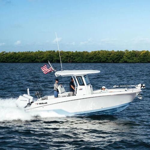 Barco open fueraborda - 243 Fisherman - Wellcraft - con consola central / de pesca / de crucero costero