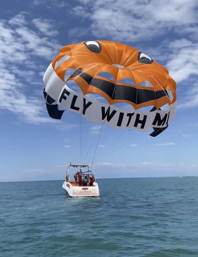 Parasail a medida - RP42 FT Earth - Risus Parasails - para vientos fuertes / para ascenso desde el barco / para ascenso desde la playa