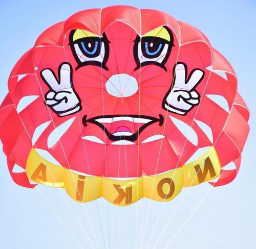 Parasail a medida - RP39 FT JUPITER - Risus Parasails - para vientos fuertes / para ascenso desde el barco / para ascenso desde la playa