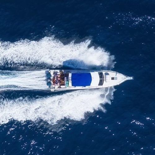 Barco cabinado intraborda - Q6 - Vi Yachts - bimotor / con fly / 14 personas máx.