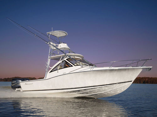 Barco cabinado fueraborda - 29 EXPRESS - Albemarle - bimotor / de pesca deportiva / con 4 literas