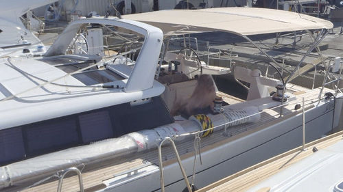 Bimini top para velero - Sense 50 - KAPELL ANNAT - para caseta del timón / con estructura de acero inoxidable / beis