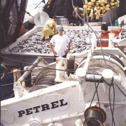 Chigre para buque - PW-125-LSDA-SF3+3(B45) - Petrel International - de pesca de cerco / con motor hidráulico / en cascada