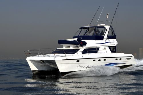 Barco cabinado catamarán - POWERCAT 450 - African Cats - intraborda / con fly / de pesca deportiva