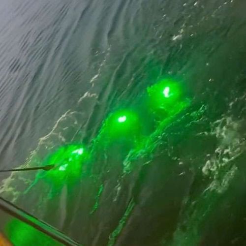 Iluminación subacuática de pesca profesional - Pisces - SafetyNet Technologies - LED