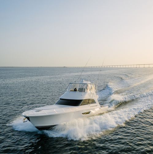Yate a motor de crucero - 61C - Bertram - de pesca deportiva / con fly / con 3 camarotes