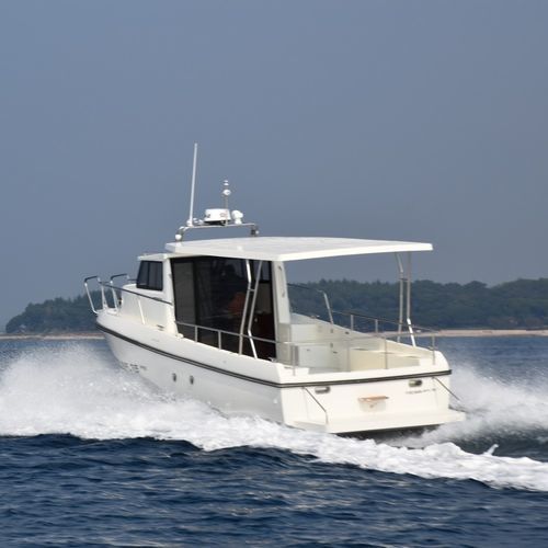 Barco profesional barco de pesca profesional - FISHERLINE 35 PRO - Marservis - intraborda / con casco rígido