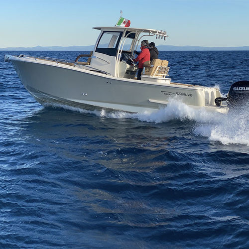 Cabin-cruiser fueraborda - T250 SF Capraia - Tuccoli - Technology Boats - gasolina / bimotor / casco de planeo