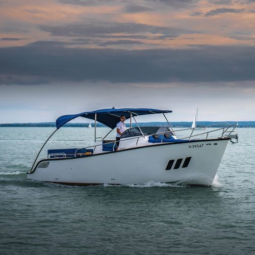 Day-cruiser intraborda - 330 - PELSOLUTIONS - eléctrico / open / 11 personas máx.
