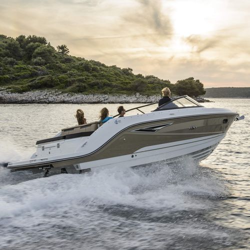 Runabout stern-drive - SUN SPORT 250 - Sea Ray - con doble consola / open / de esquí acuático