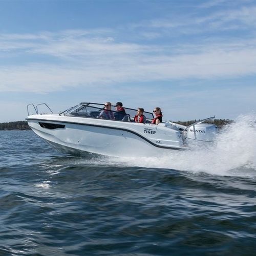 Day-cruiser fueraborda - TIGER DC - Silver - open / de fibra de vidrio / 8 personas máx.