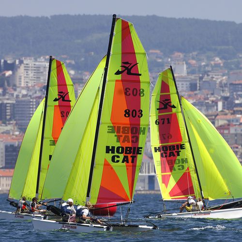 Catamarán deportivo de regata - Hobie Cat USA - para escuela / doble / con un trapecio