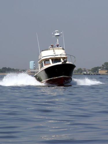 Barco cabinado intraborda - 35 TOURNAMENT EXPRESS - Albin Marine - con fly / lobster