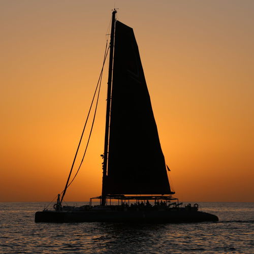 Yate de vela catamarán - 78' - Ocean Voyager - con popa abierta / con bauprés