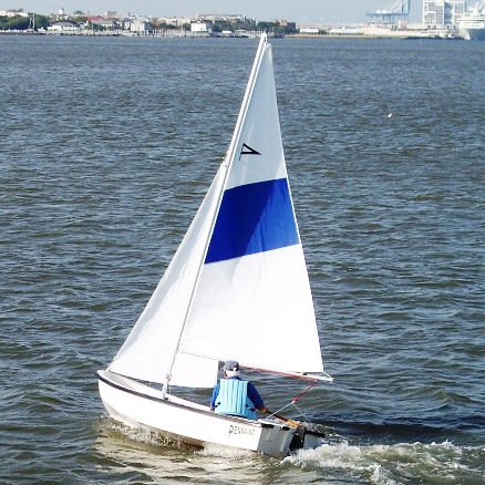 Velero daysailer - PENNANT - American Sail
