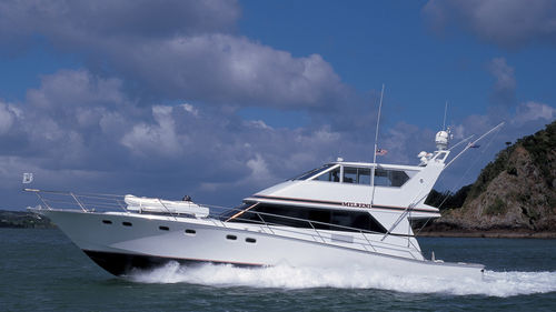 Yate a motor de pesca deportiva - MELRINI - Warwick Yacht Design - con fly cerrado / casco de planeo